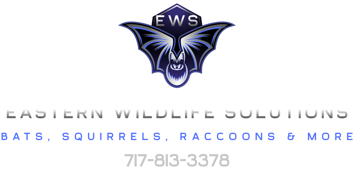 Logo for Eastern Wildlife Solutions featuring a bat symbol with the initials "EWS". The logo includes text of company name and phone number.