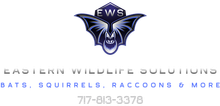 Logo for Eastern Wildlife Solutions featuring a bat symbol with the initials "EWS". The logo includes text of company name and phone number.