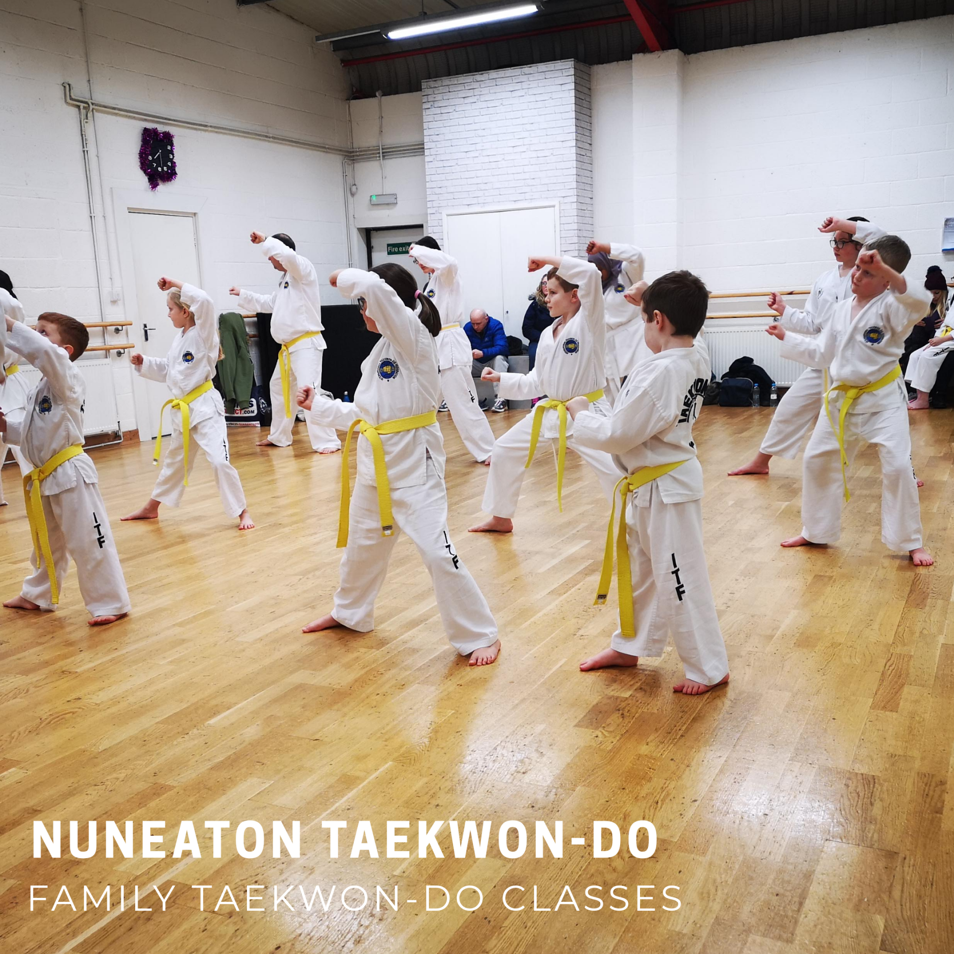 Family Taekwondo class