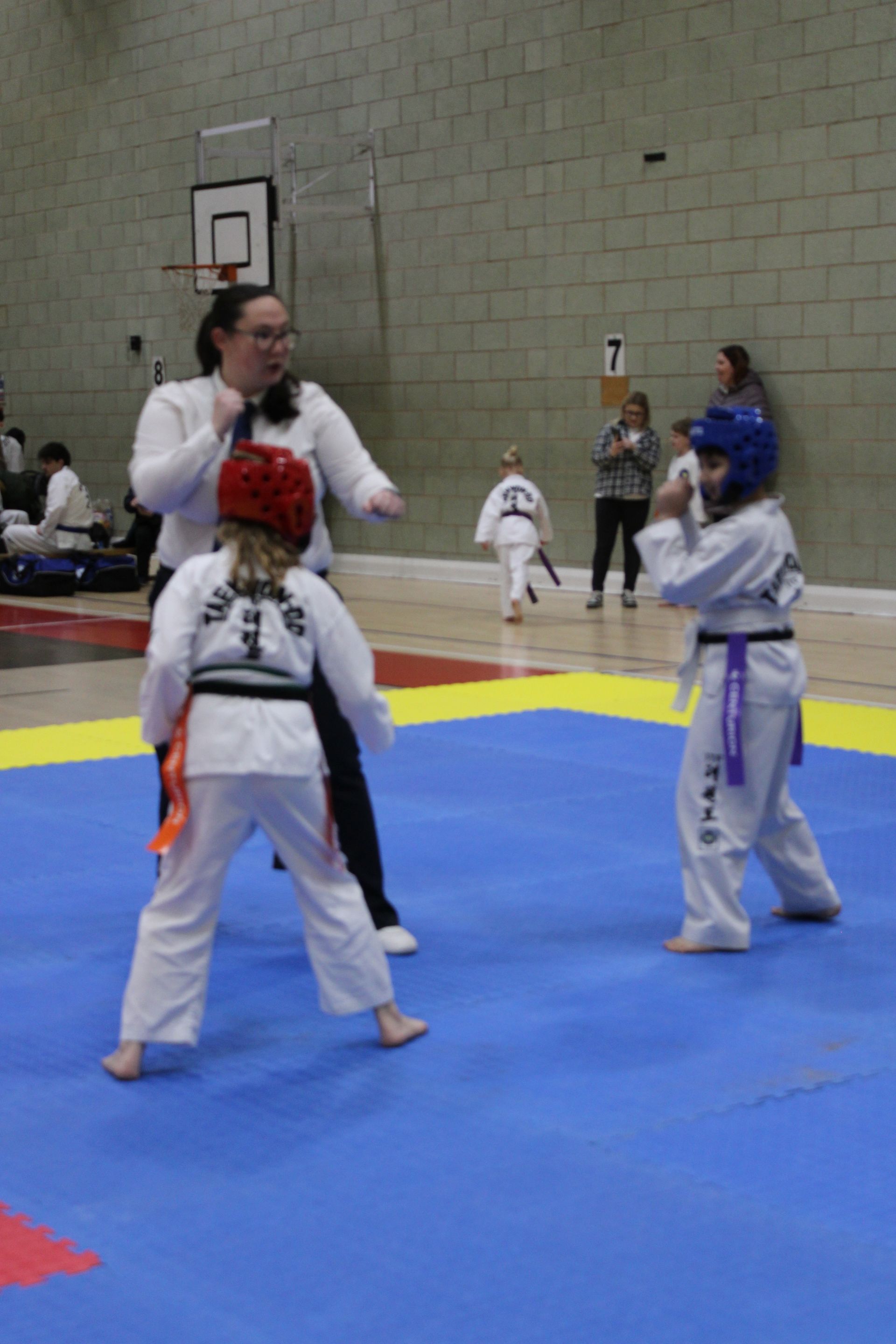 Dragons Tail at the Birmingham Open