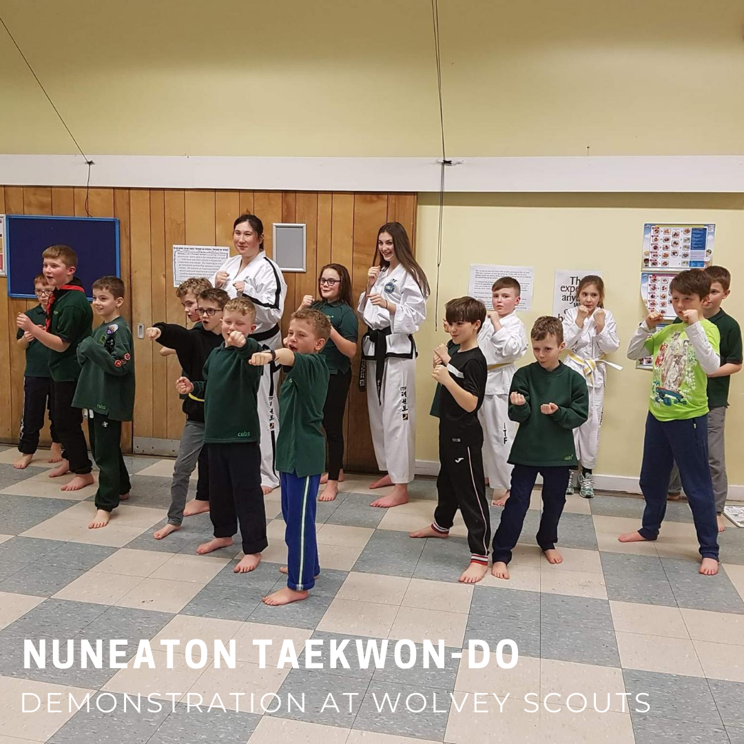 Demonstration at Wolvey Scouts