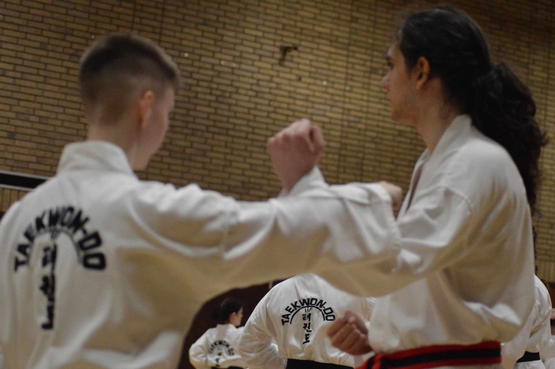Nuneaton TKD at the Oct 2023 BTF Blackbelt Seminar & Grading