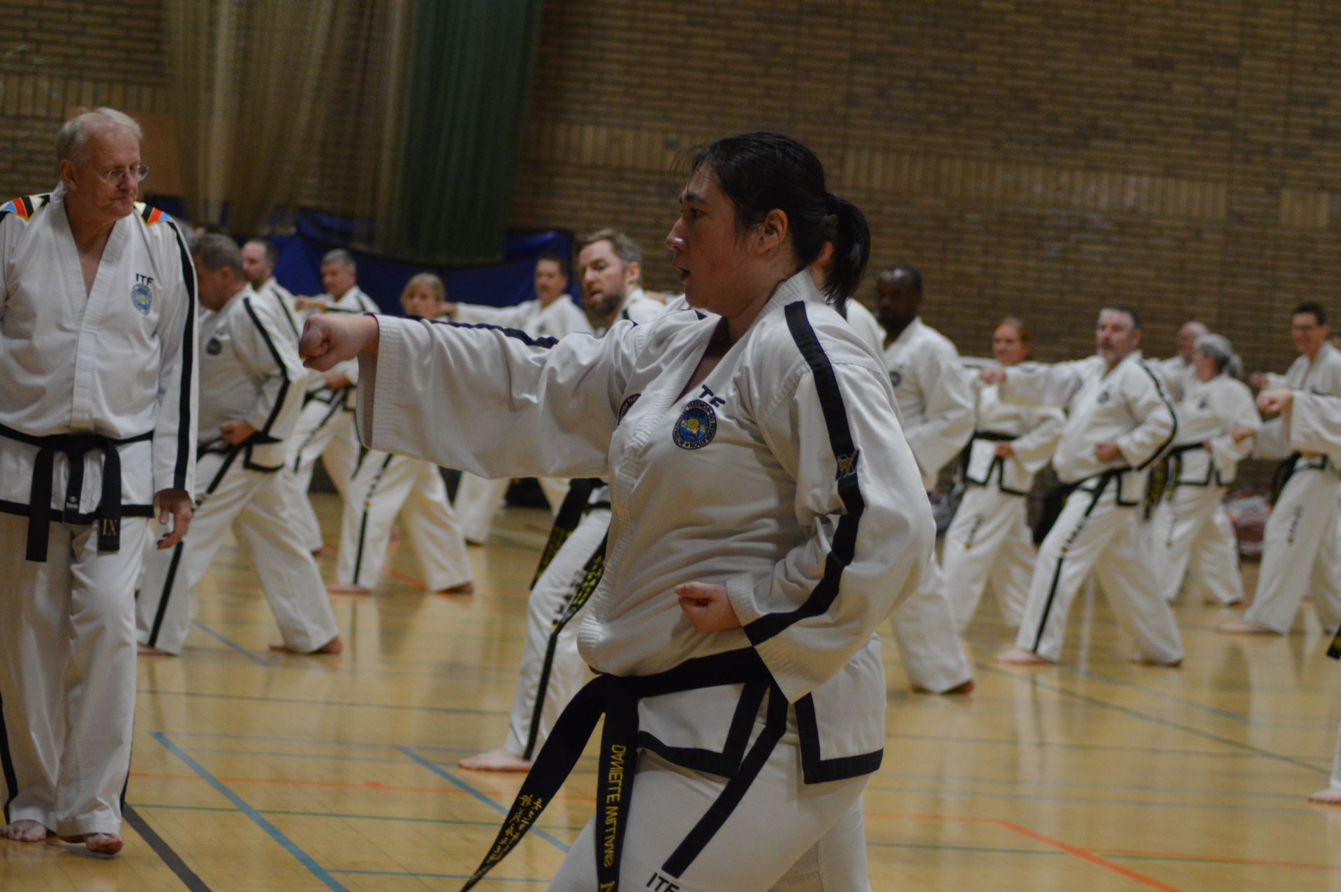Nuneaton TKD at the Oct 2023 BTF Blackbelt Seminar & Grading