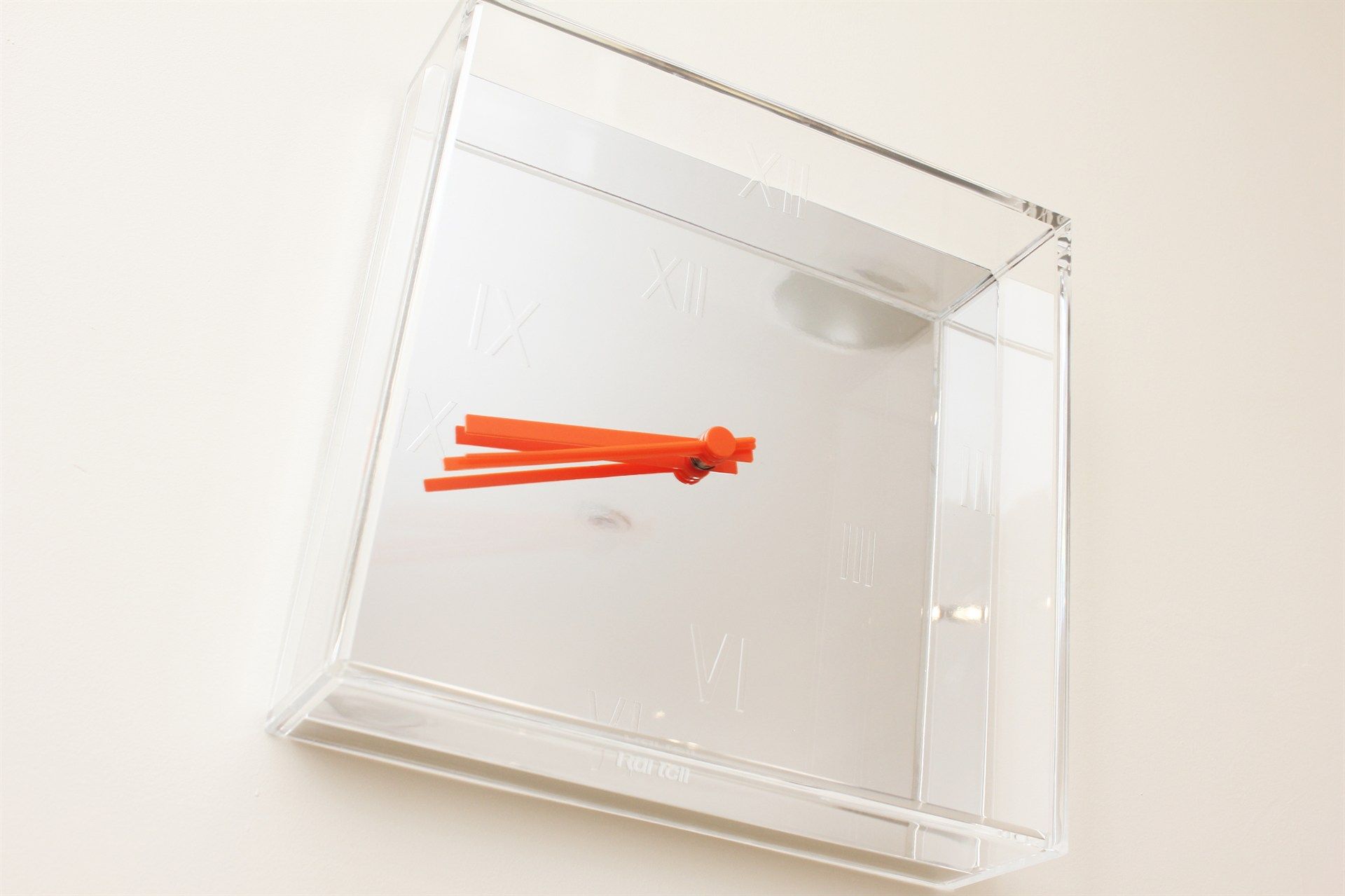 A red squid is swimming in a clear container of water