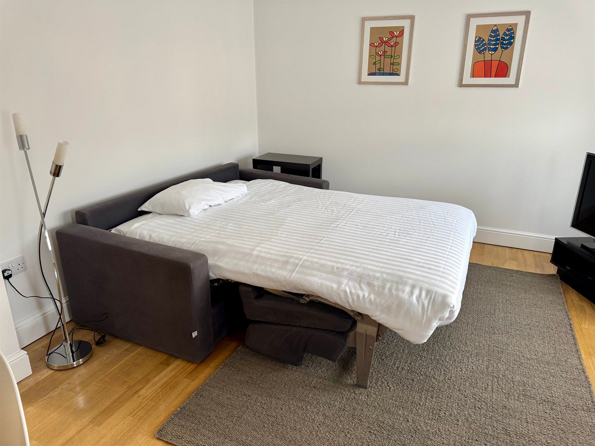 A living room with a couch that has been converted into a bed