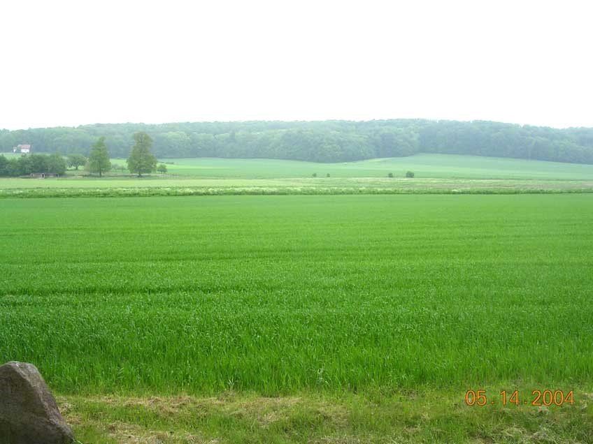 Aschermann Farm Land