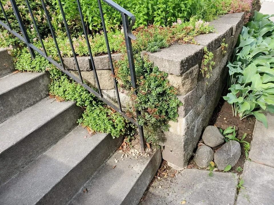 Concrete steps with black railing next to a stone retaining wall with greenery.