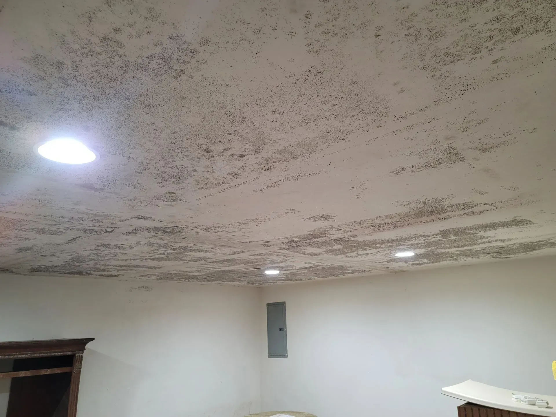 A room with a ceiling that has a lot of mold on it.