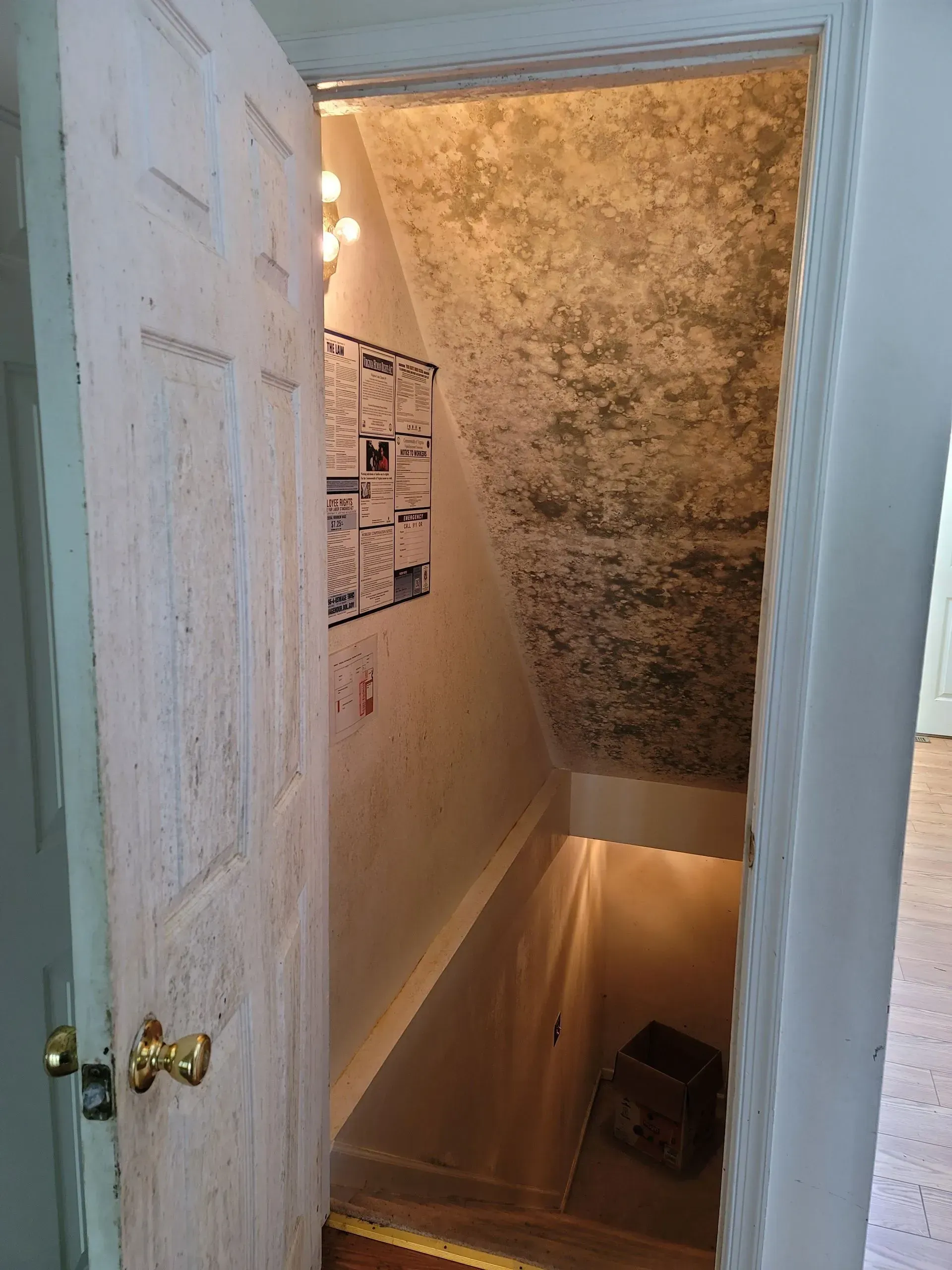 A door is open to a staircase with mould on the ceiling.