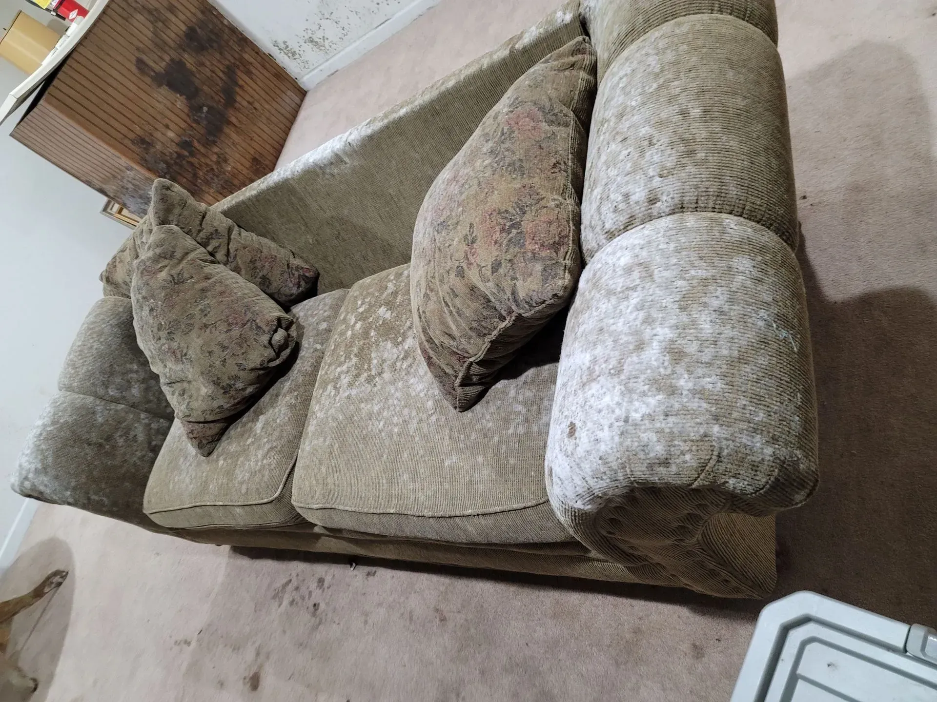 A couch and chair are sitting on a carpeted floor in a living room.