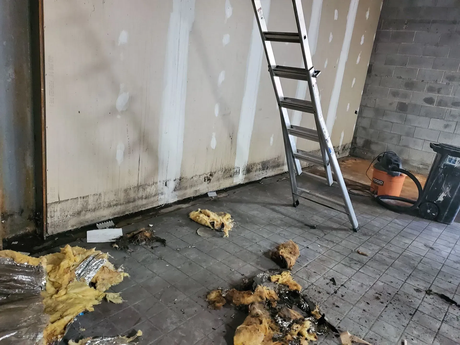 A room with a ladder and a vacuum cleaner in it.