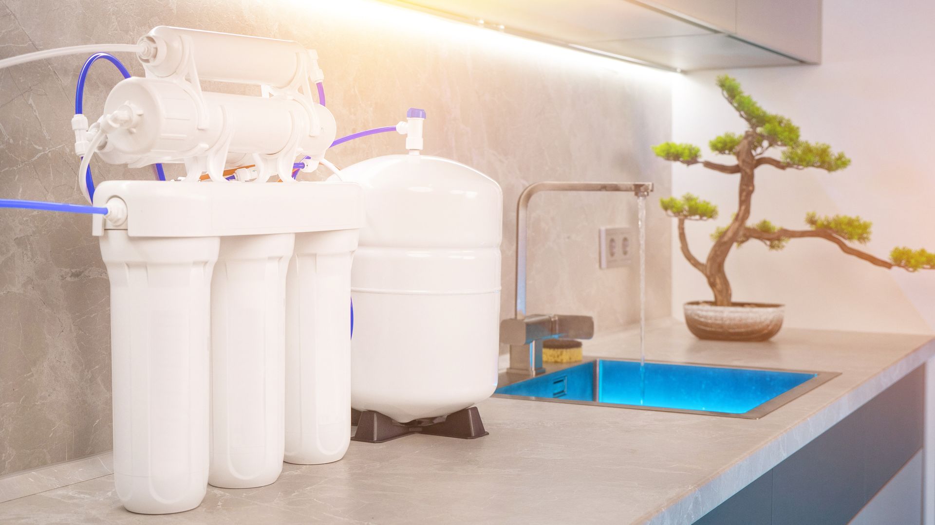 White water filtration system beside a blue sink and bonsai tree on a countertop
