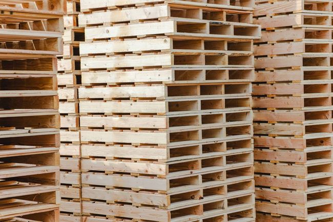 Stacks of wooden shipping pallets arranged in rows outdoors.