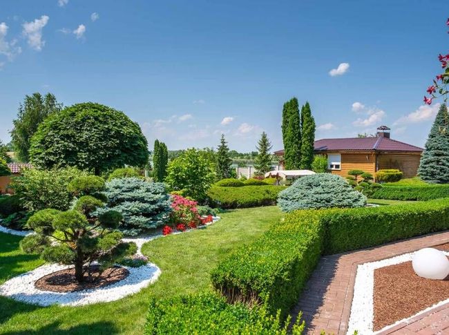 Lush backyard landscaping with trimmed hedges and vibrant flowers