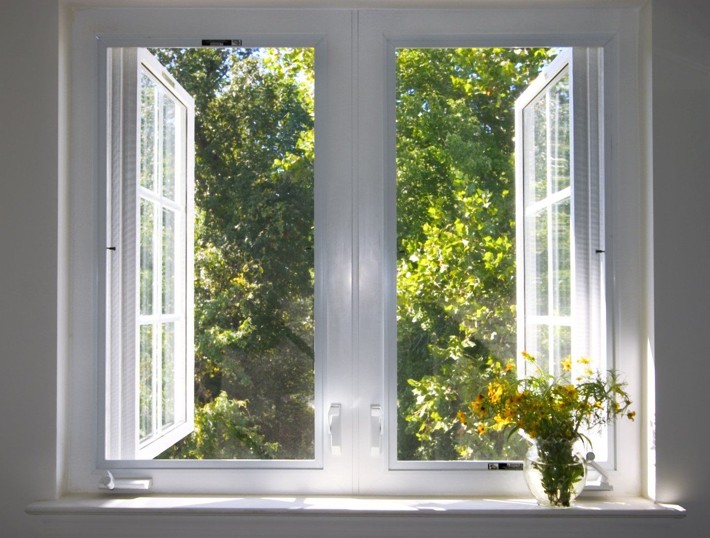 white casement windows