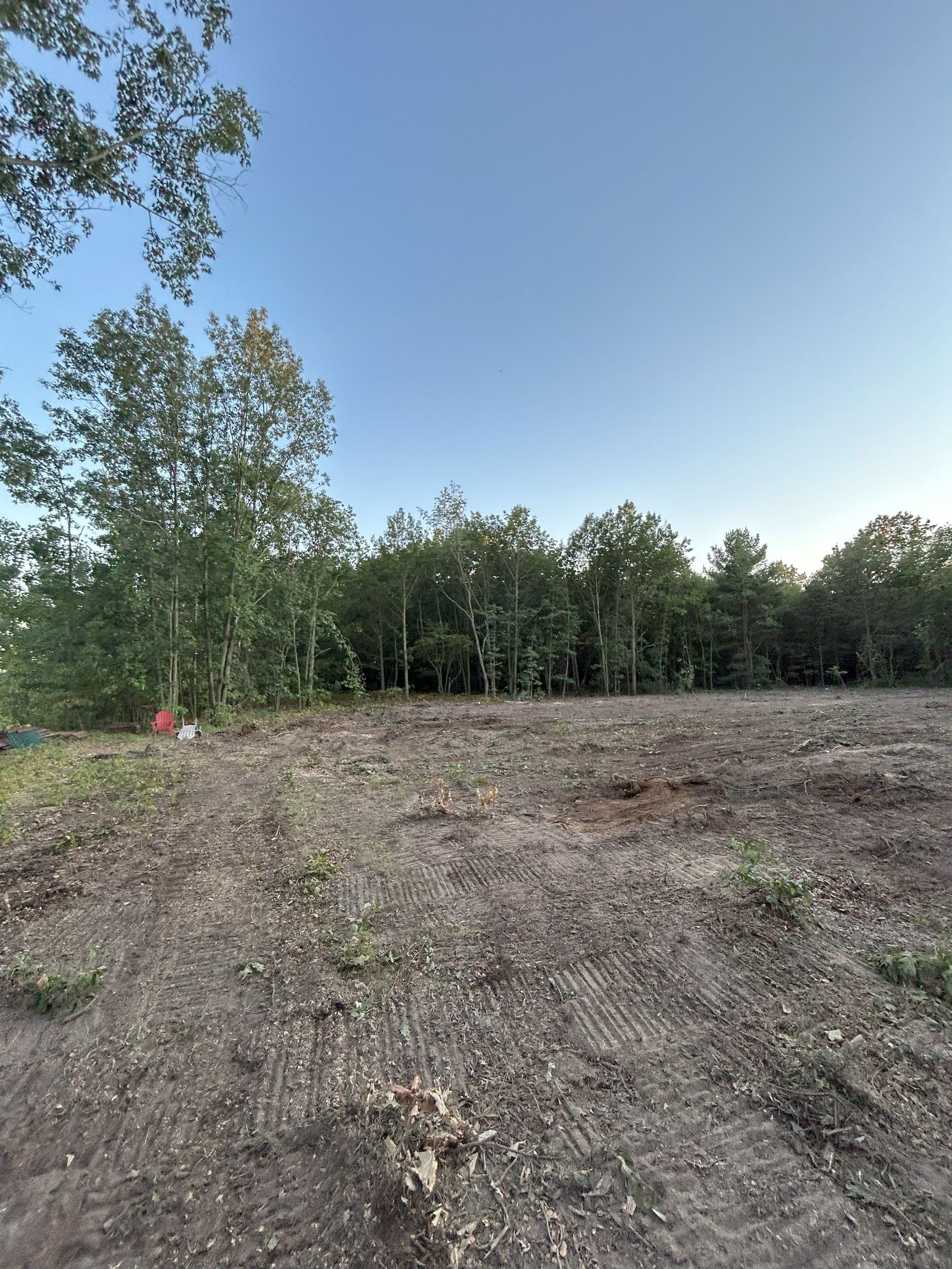 Clearing in a dirt field, with trees in the background, under a blue sky.
