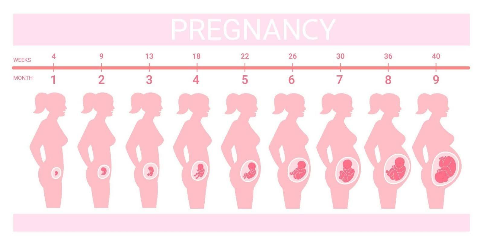 pregnancy journey