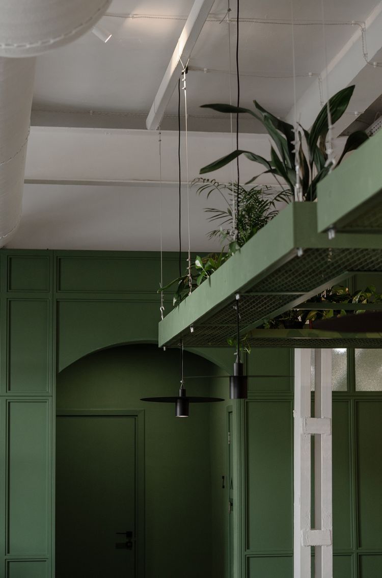 Uma sala com paredes verdes e um teto com plantas penduradas.