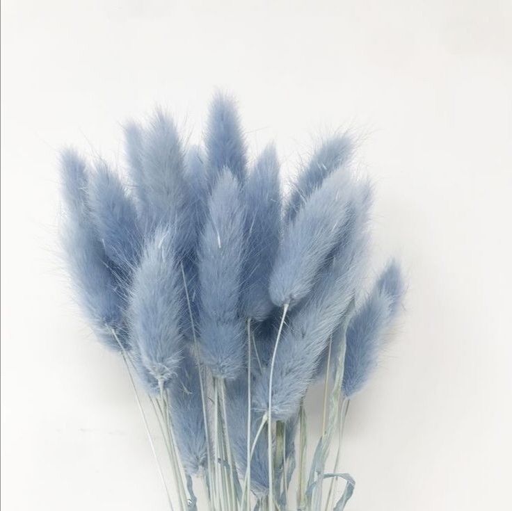 Um buquê de flores azuis em um fundo branco.