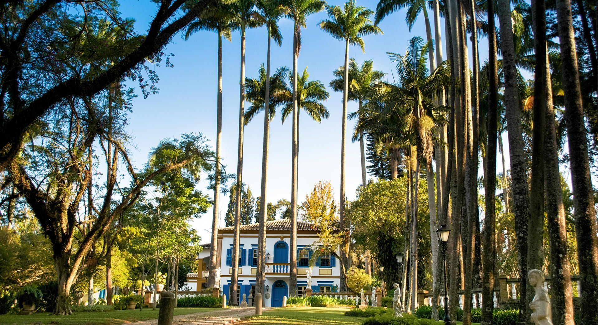 Uma casa cercada por palmeiras em um parque