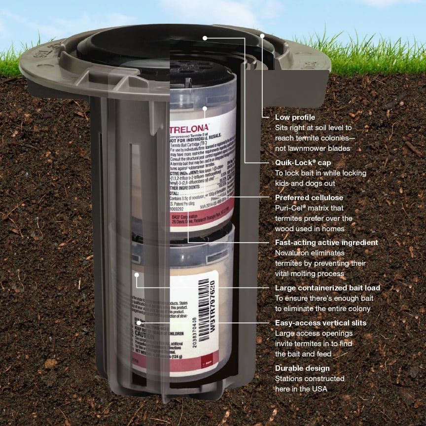 Termite control bait system | Hudson, FL | Seabreeze Pest Control