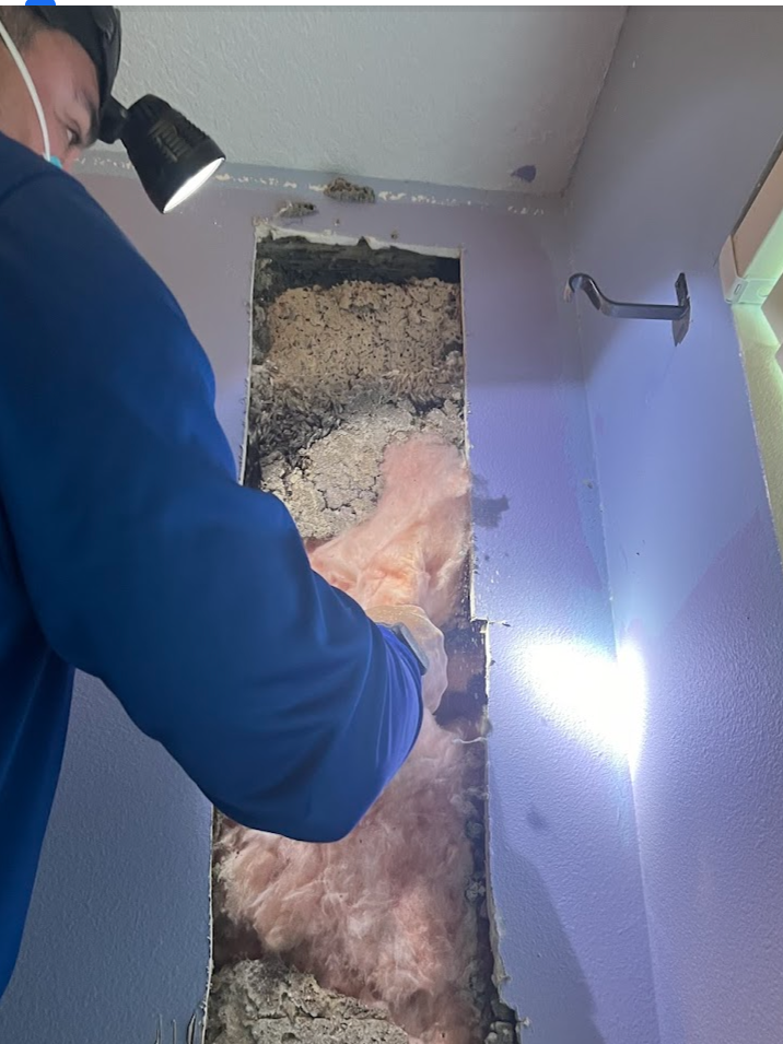 A man wearing a mask is working on a wall with termite damage