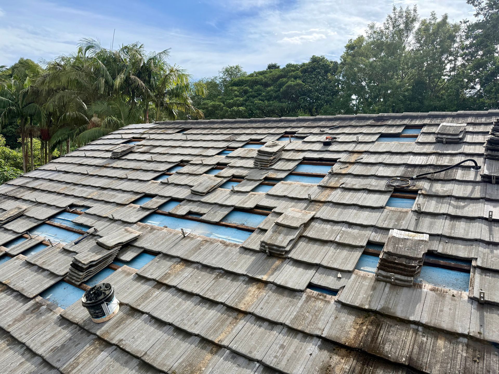 Damaged wood shingle roof with many missing shingles; blue underlayment exposed. Green trees in background— Richmond Roof Tiling in Ballina, NSW
