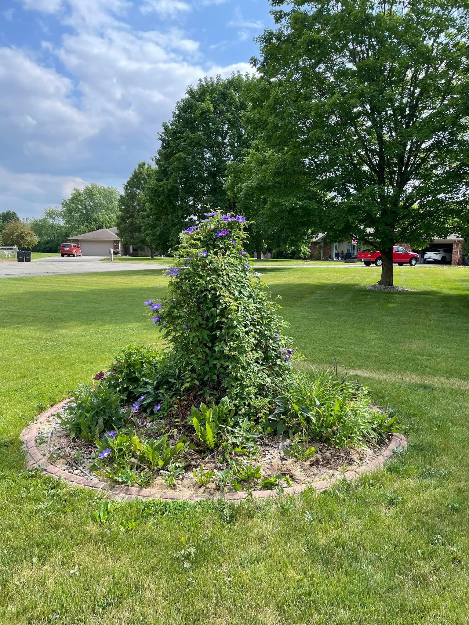 A circular garden with purple flowers in the middle of a lush green field.