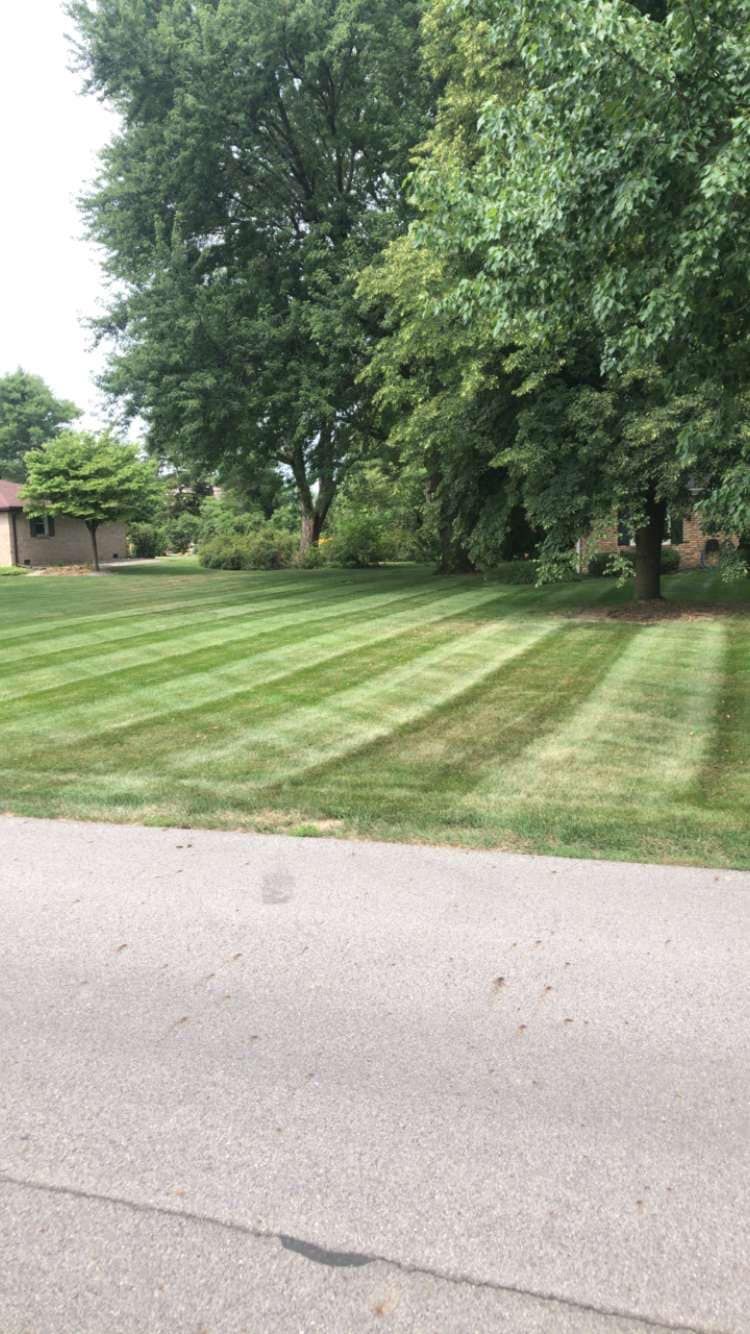 A lush green lawn with trees and a house in the background.