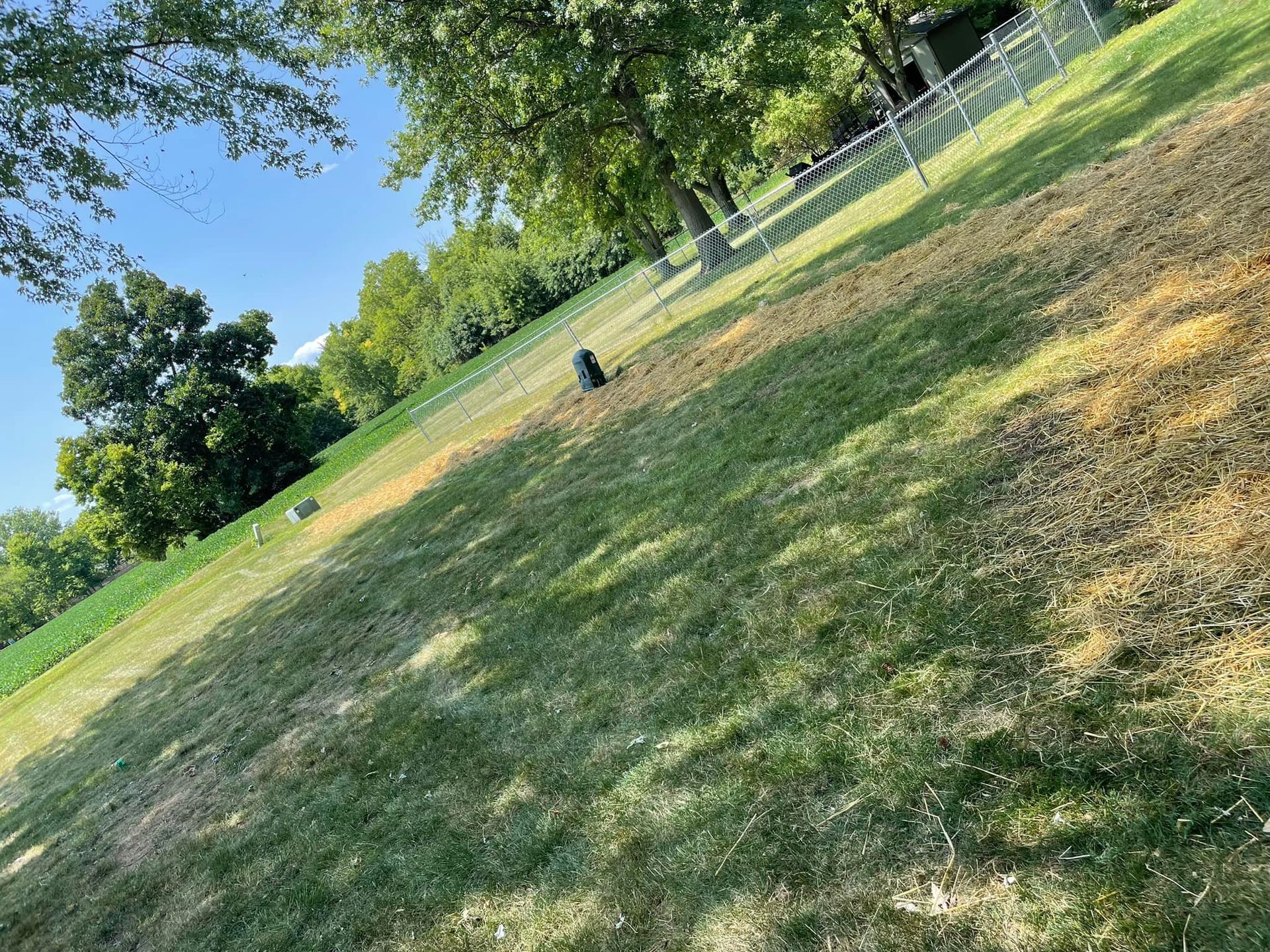 A lush green field with trees and a fence in the background.