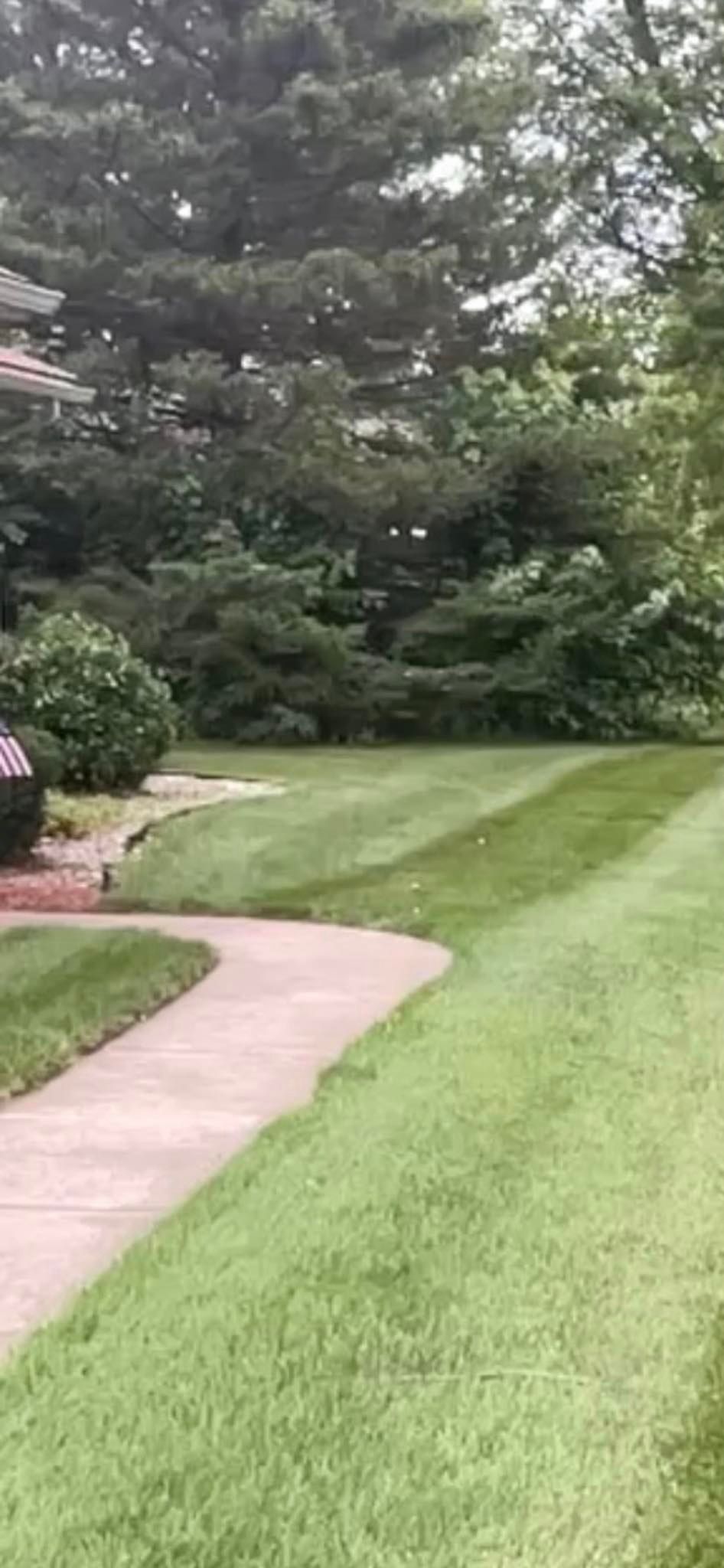 A path going through a lush green field with trees in the background.