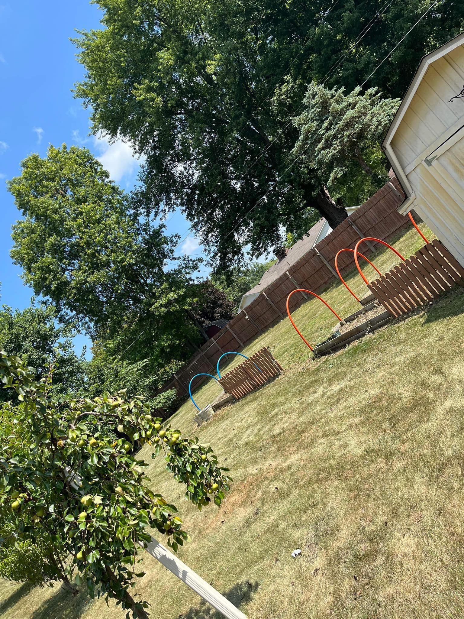 A backyard with a fence , trees , and a shed.