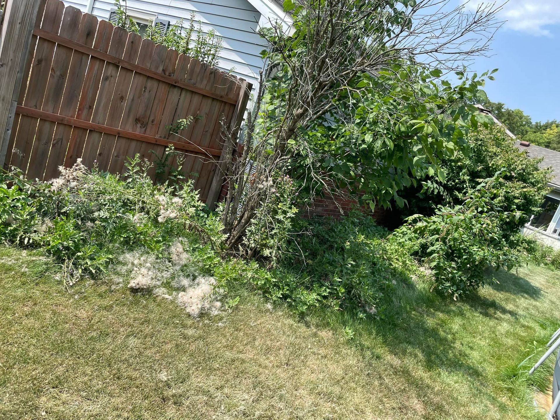 A wooden fence is surrounded by trees and bushes in a yard.