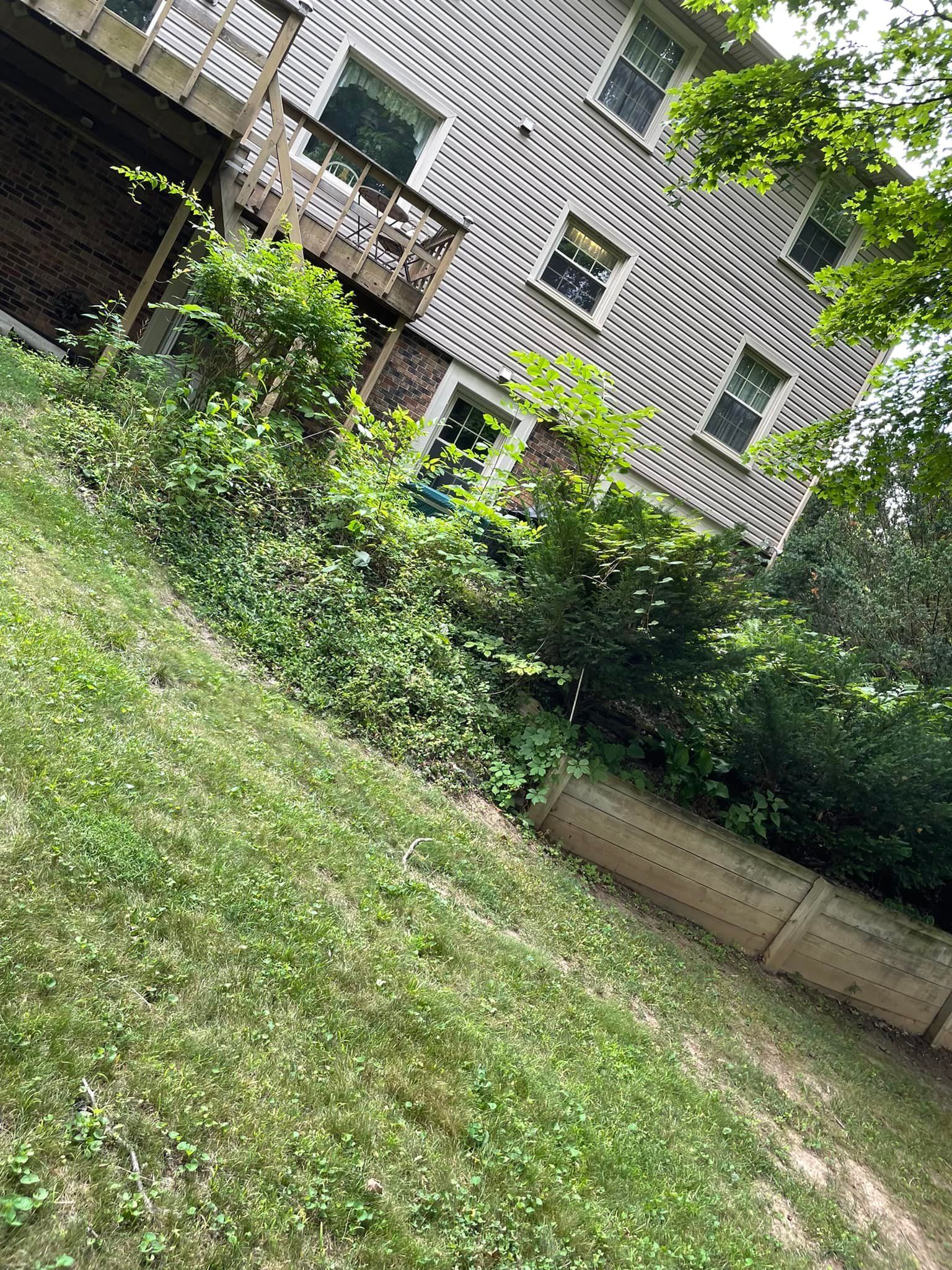 A house with a deck and a lush green yard in front of it.