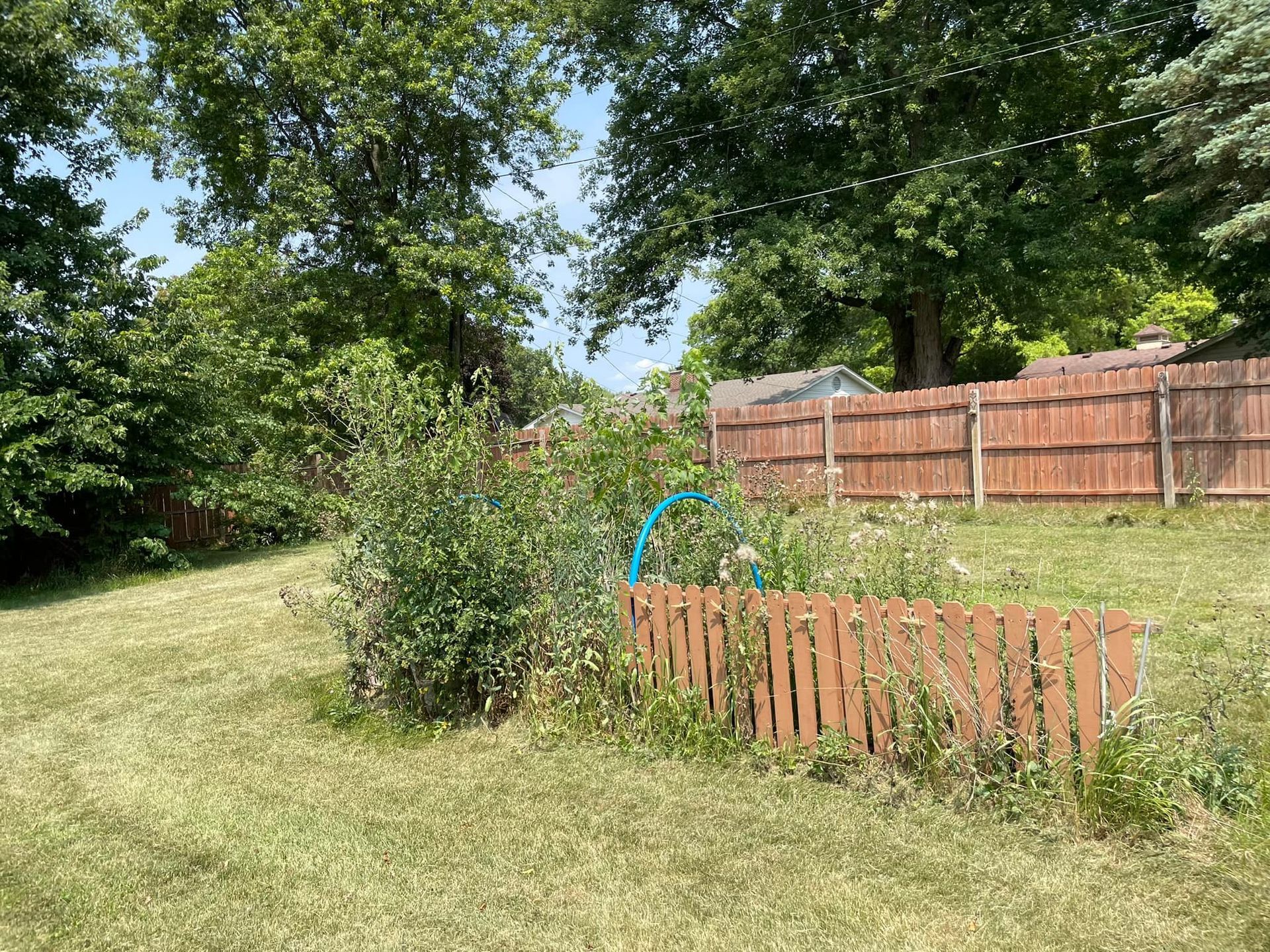 A backyard with a wooden fence and trees in the background.