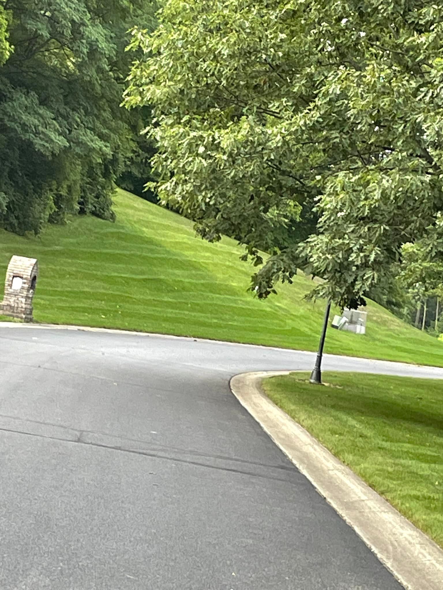 A road with trees on the side of it and a grassy hill in the background.