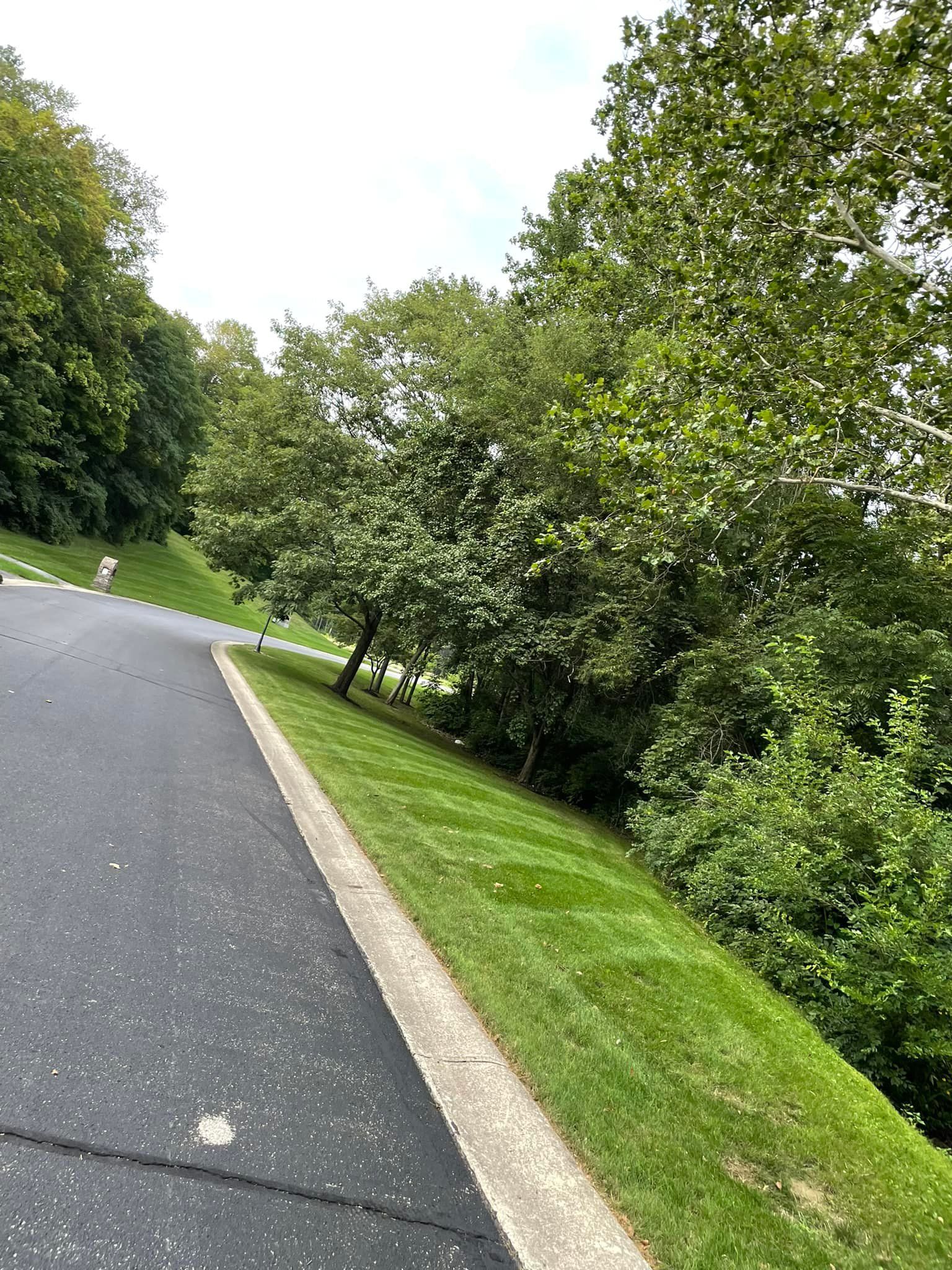 A road with trees on the side of it and grass on the side of it.