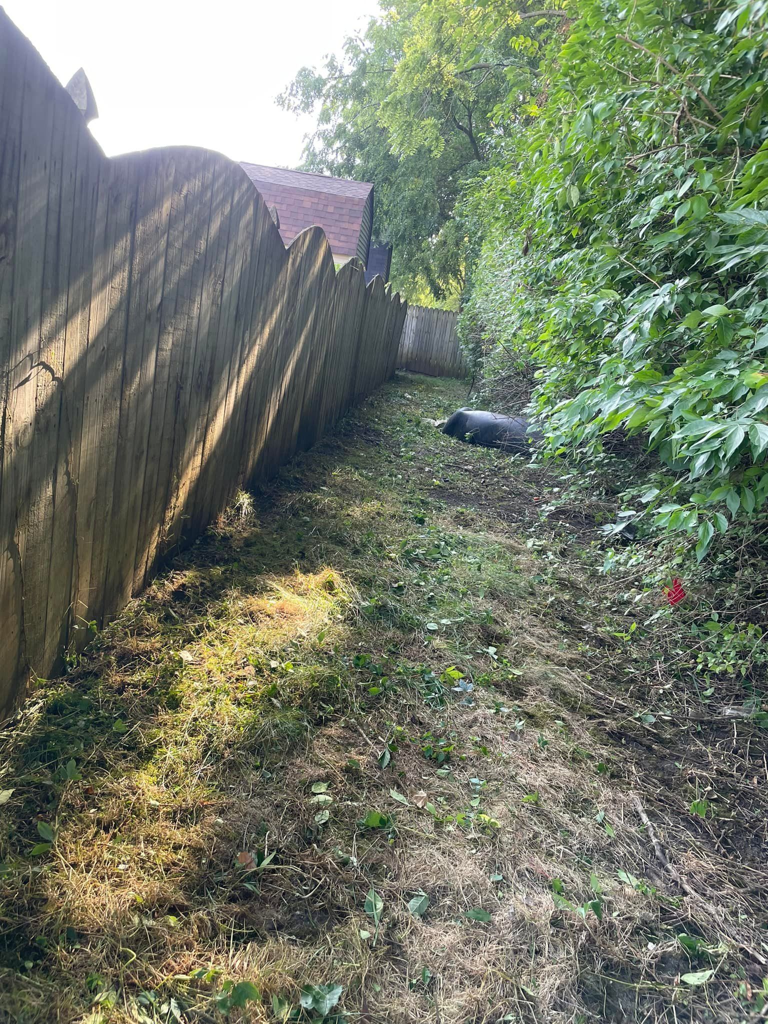 A wooden fence is surrounded by trees and grass in a yard.