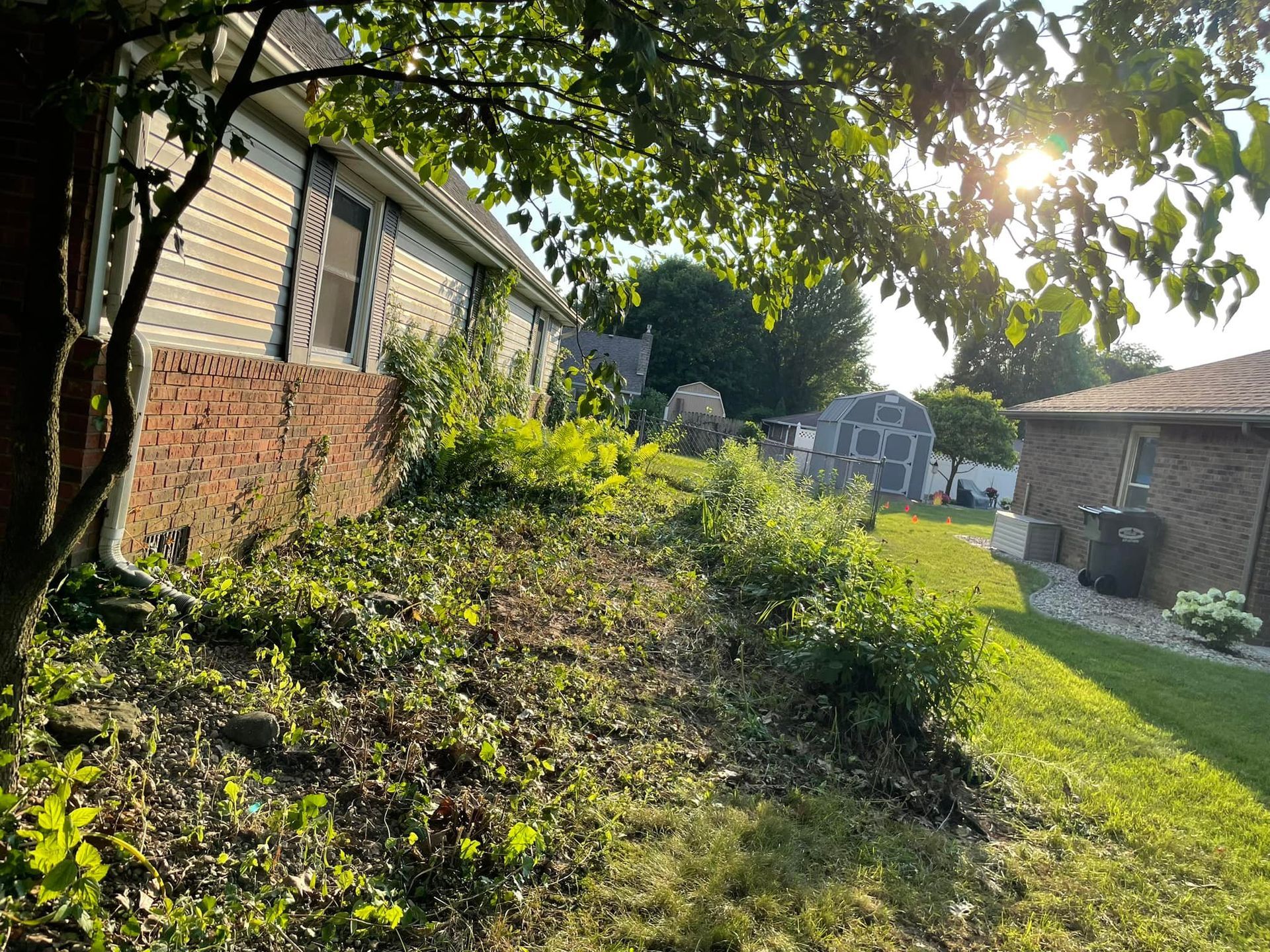 The sun is shining through the trees in the backyard of a house.