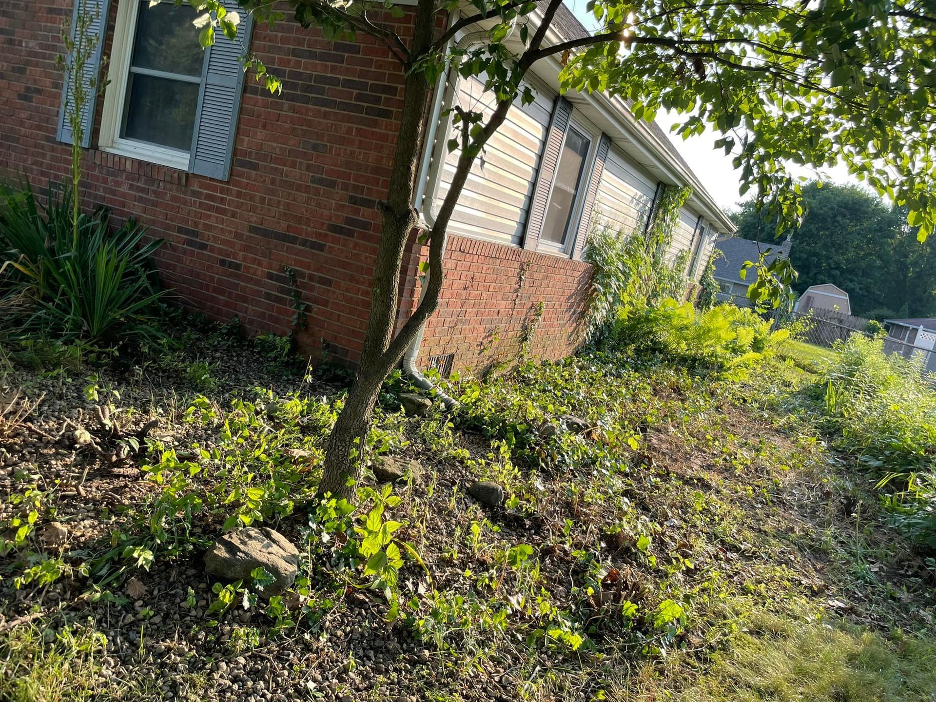 A brick house with a tree in front of it on a hill.