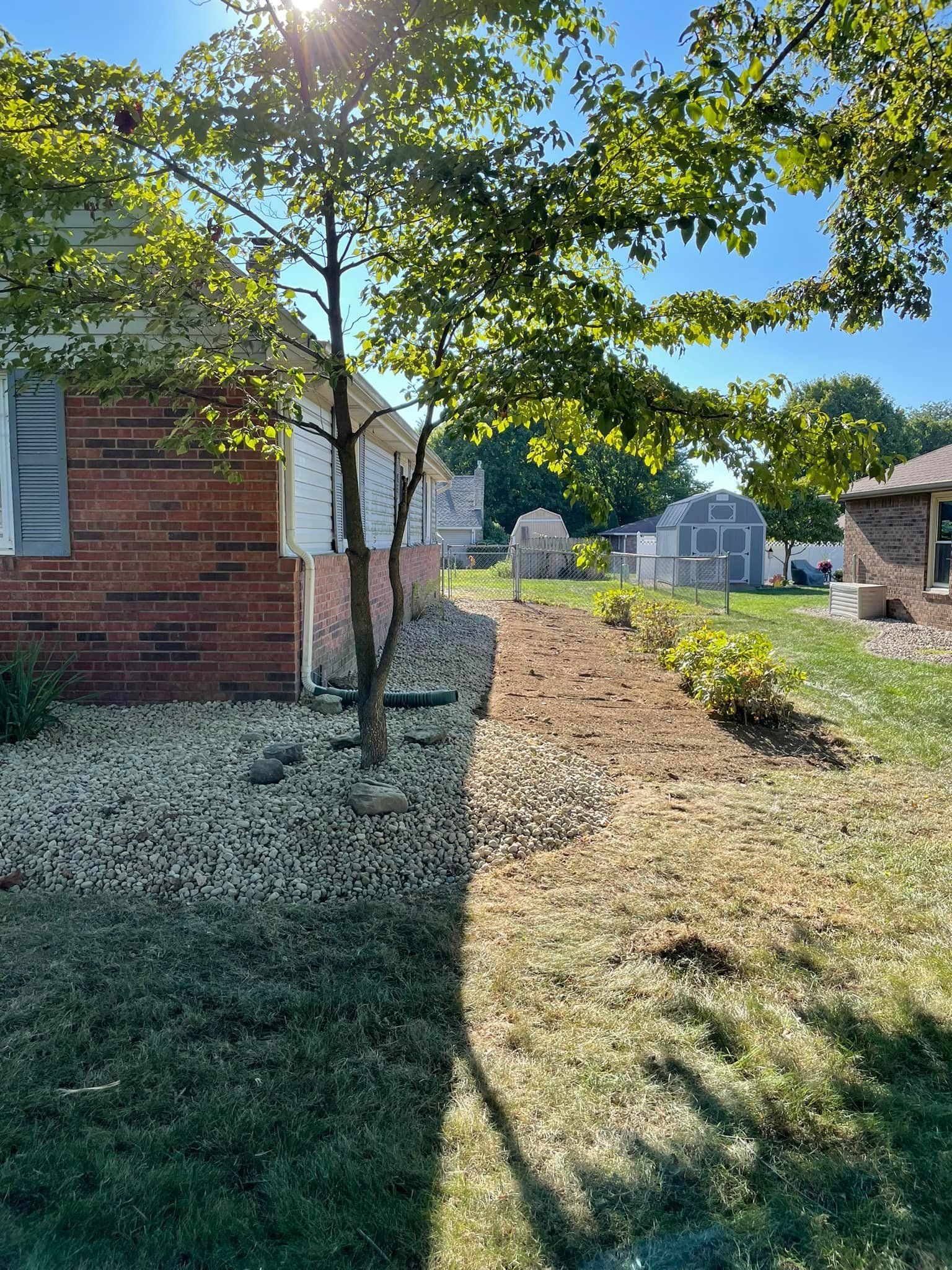 There is a tree in the backyard of a house.