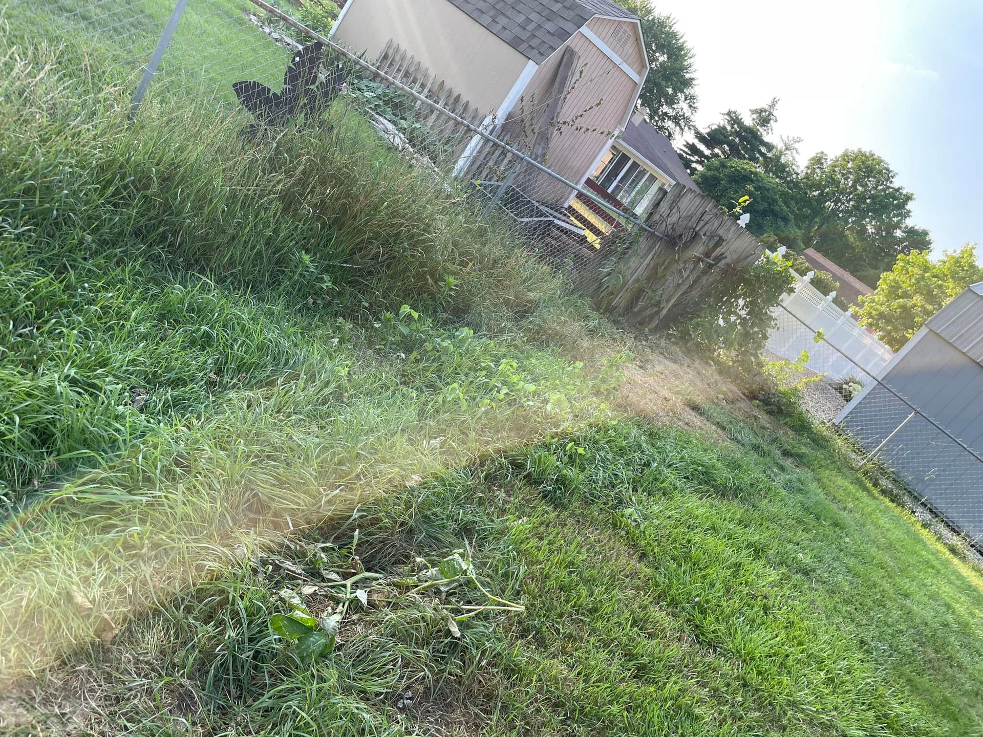 A fenced in yard with a lot of grass and a house in the background.