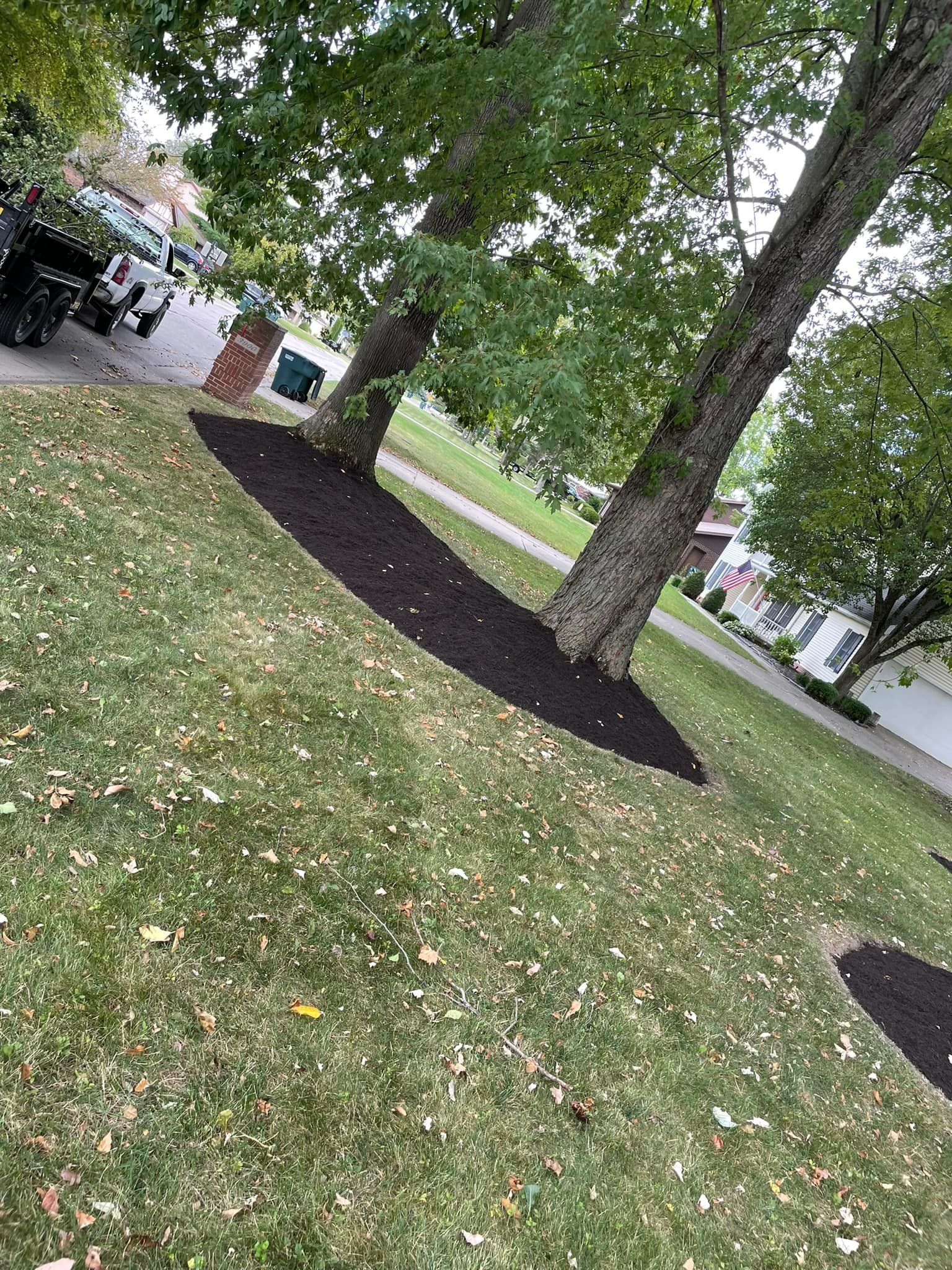 A truck is parked in the driveway of a house next to a tree.