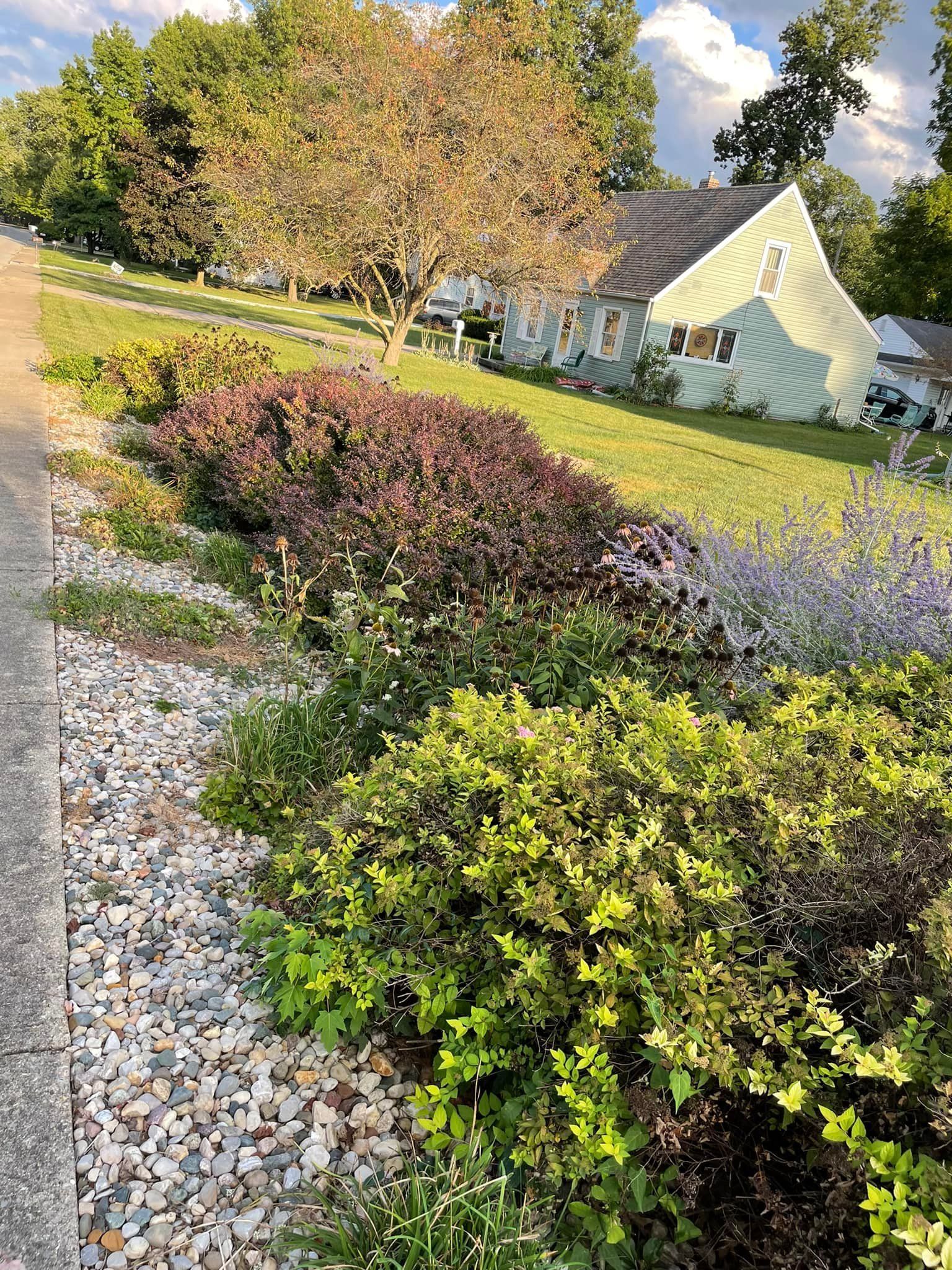 There is a house in the background and a lot of bushes in the foreground.