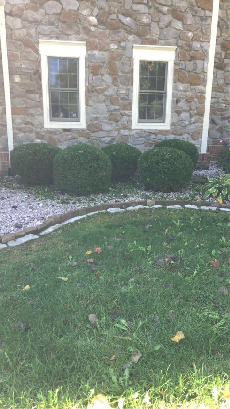 A stone house with a lush green lawn in front of it.