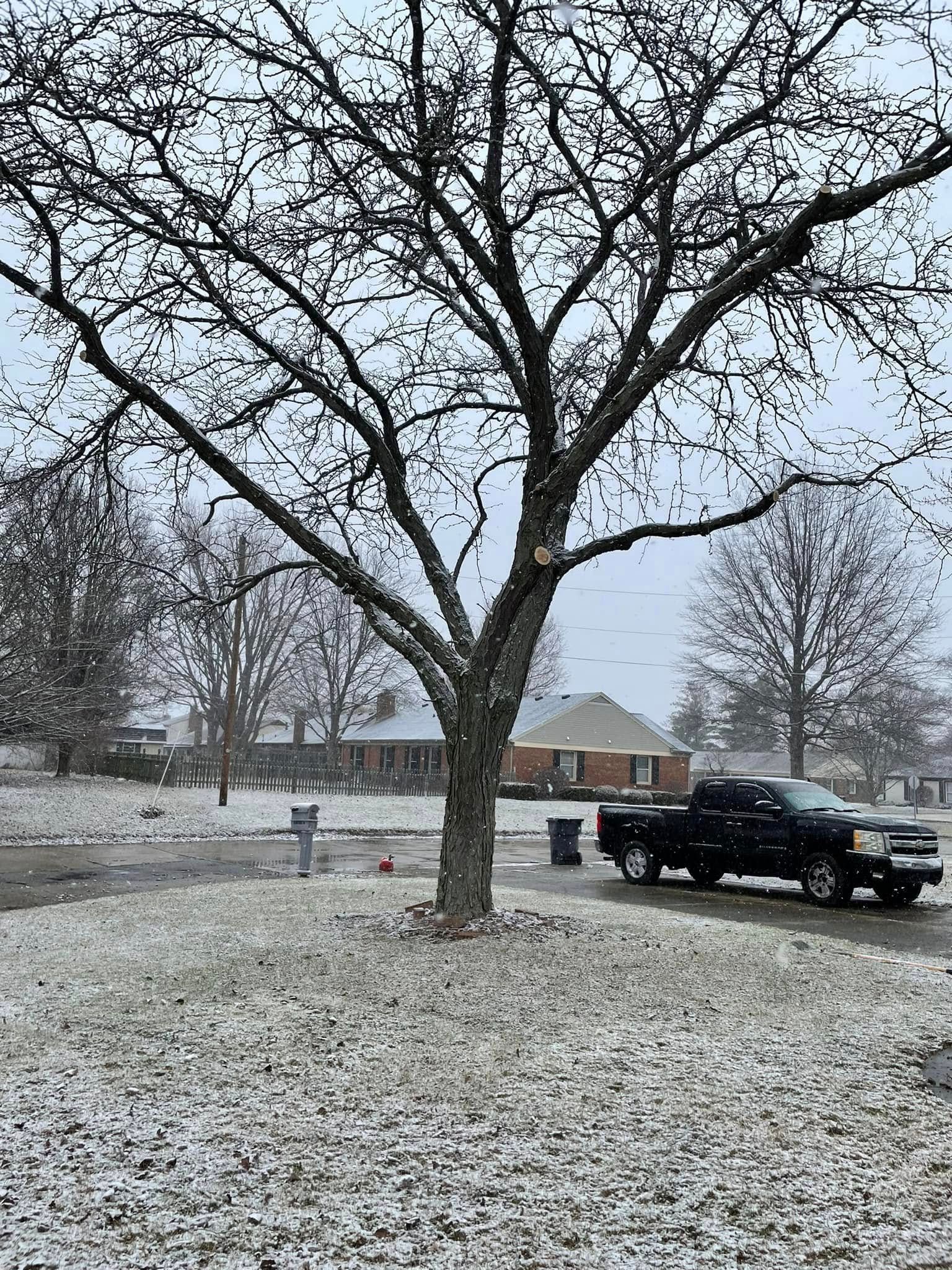 A black truck is parked under a tree in a snowy yard.