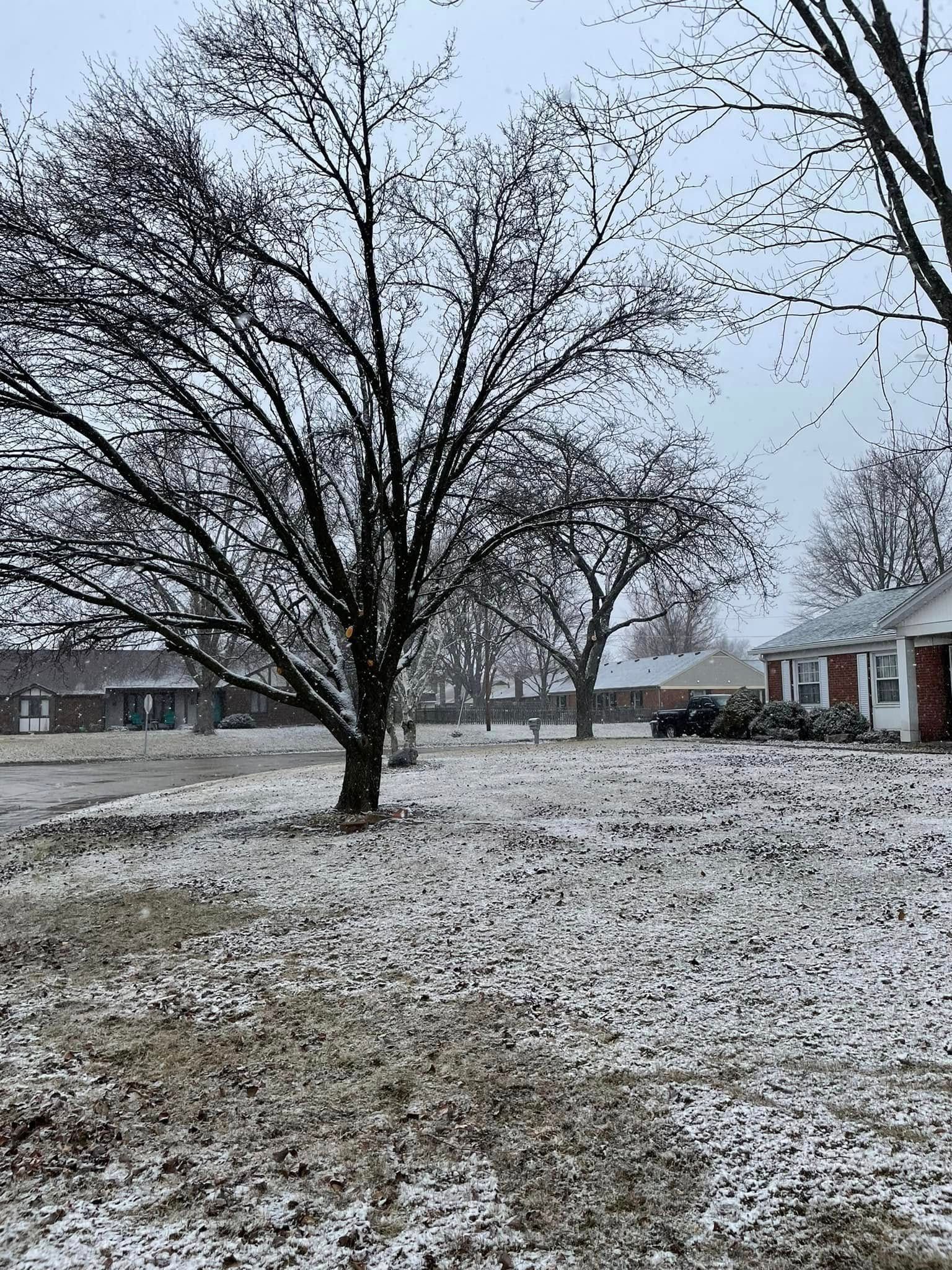 A snowy yard with trees and a house in the background.