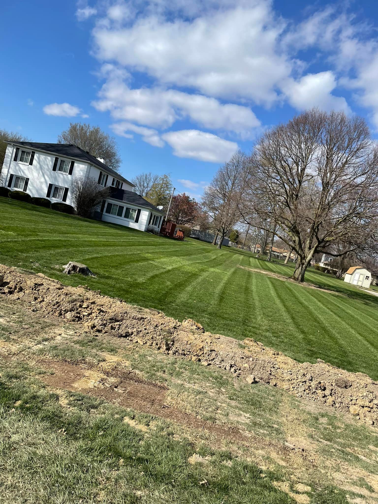 A lush green lawn in front of a house on a sunny day.