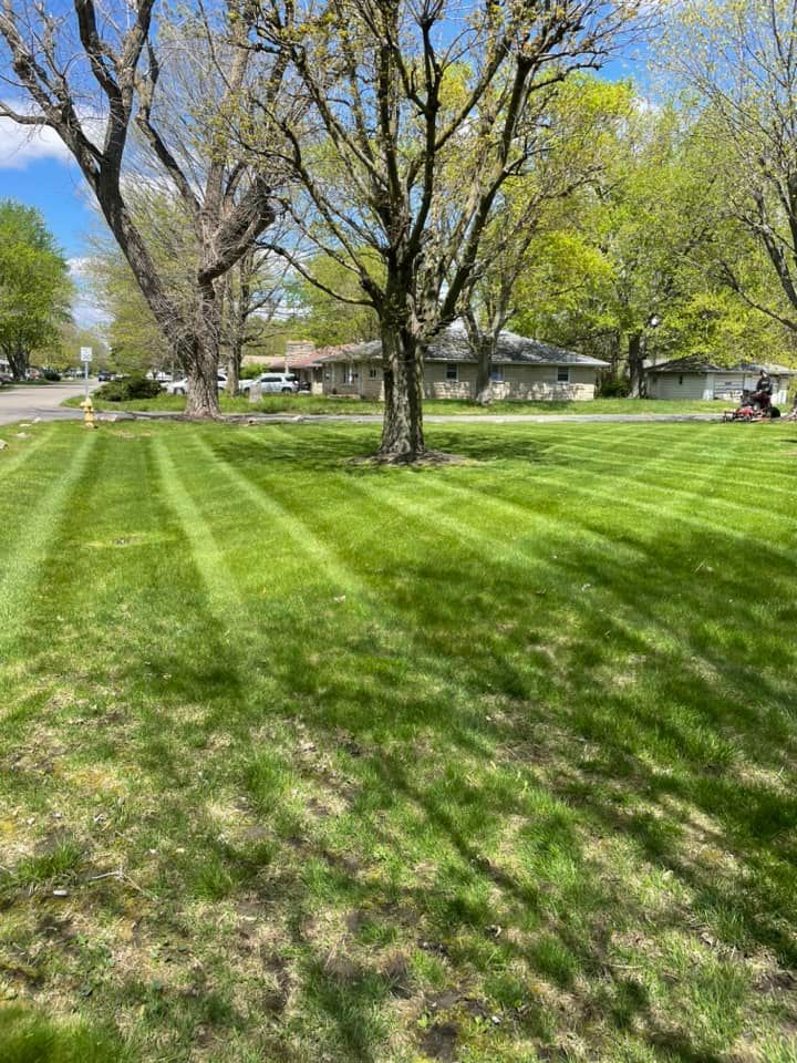 A lawn mower is cutting a lush green lawn with trees in the background.