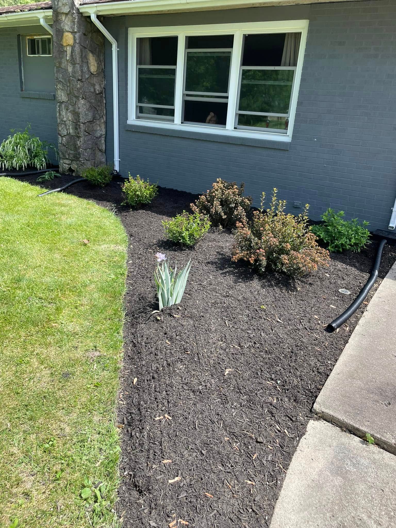 A house with a lot of plants in front of it and a window.